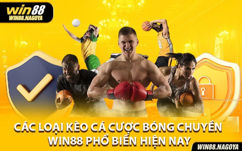 Cá cược bóng chuyền Win88